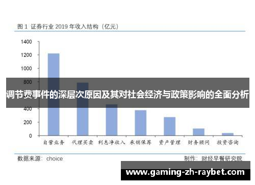 调节费事件的深层次原因及其对社会经济与政策影响的全面分析