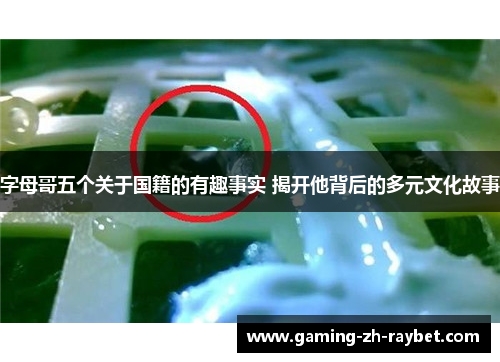 字母哥五个关于国籍的有趣事实 揭开他背后的多元文化故事 字母哥五个关于国籍的有趣事实 揭开他背后的多元文化故事