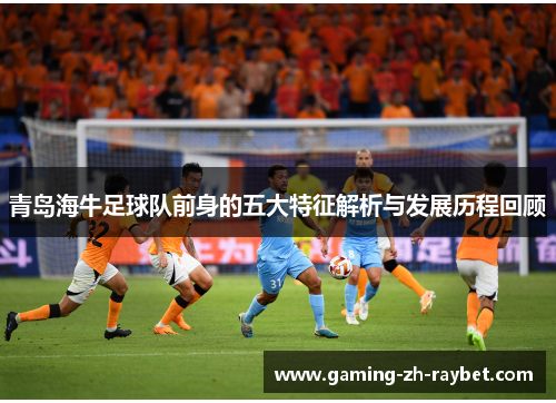 青岛海牛足球队前身的五大特征解析与发展历程回顾 青岛海牛足球队前身的五大特征解析与发展历程回顾