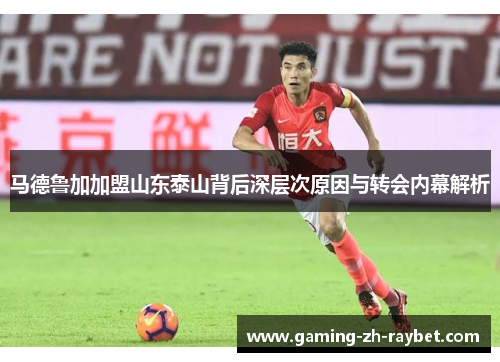 马德鲁加加盟山东泰山背后深层次原因与转会内幕解析 马德鲁加加盟山东泰山背后深层次原因与转会内幕解析