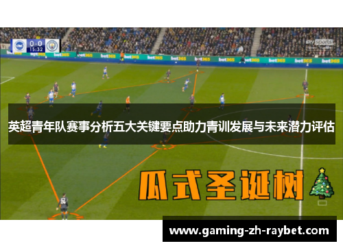 英超青年队赛事分析五大关键要点助力青训发展与未来潜力评估