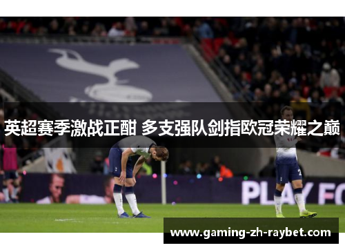英超赛季激战正酣 多支强队剑指欧冠荣耀之巅 英超赛季激战正酣 多支强队剑指欧冠荣耀之巅