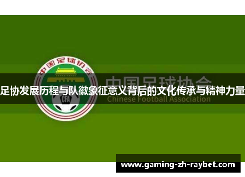 足协发展历程与队徽象征意义背后的文化传承与精神力量