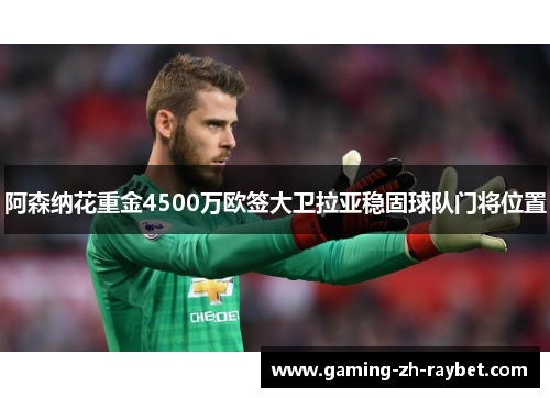 阿森纳花重金4500万欧签大卫拉亚稳固球队门将位置