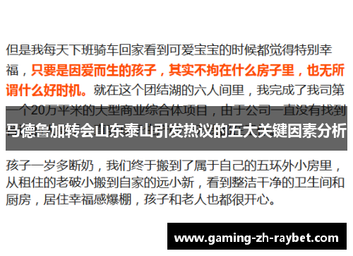 马德鲁加转会山东泰山引发热议的五大关键因素分析