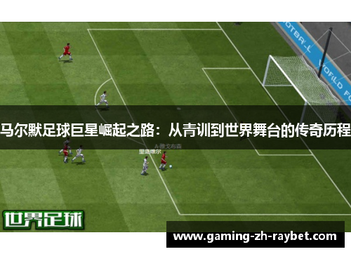 马尔默足球巨星崛起之路：从青训到世界舞台的传奇历程